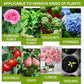 🔥 Разтвор за растителни торове – Вдъхва нов живот на увехналите растения 🌱✨