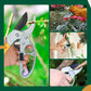 Tijeras de podar que ahorran trabajo en jardinería