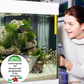 🐠Ефикасна таблетка за пречистване на водата в аквариума