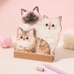 😻 3D настолен календар за 2026 г. с котки и кучета